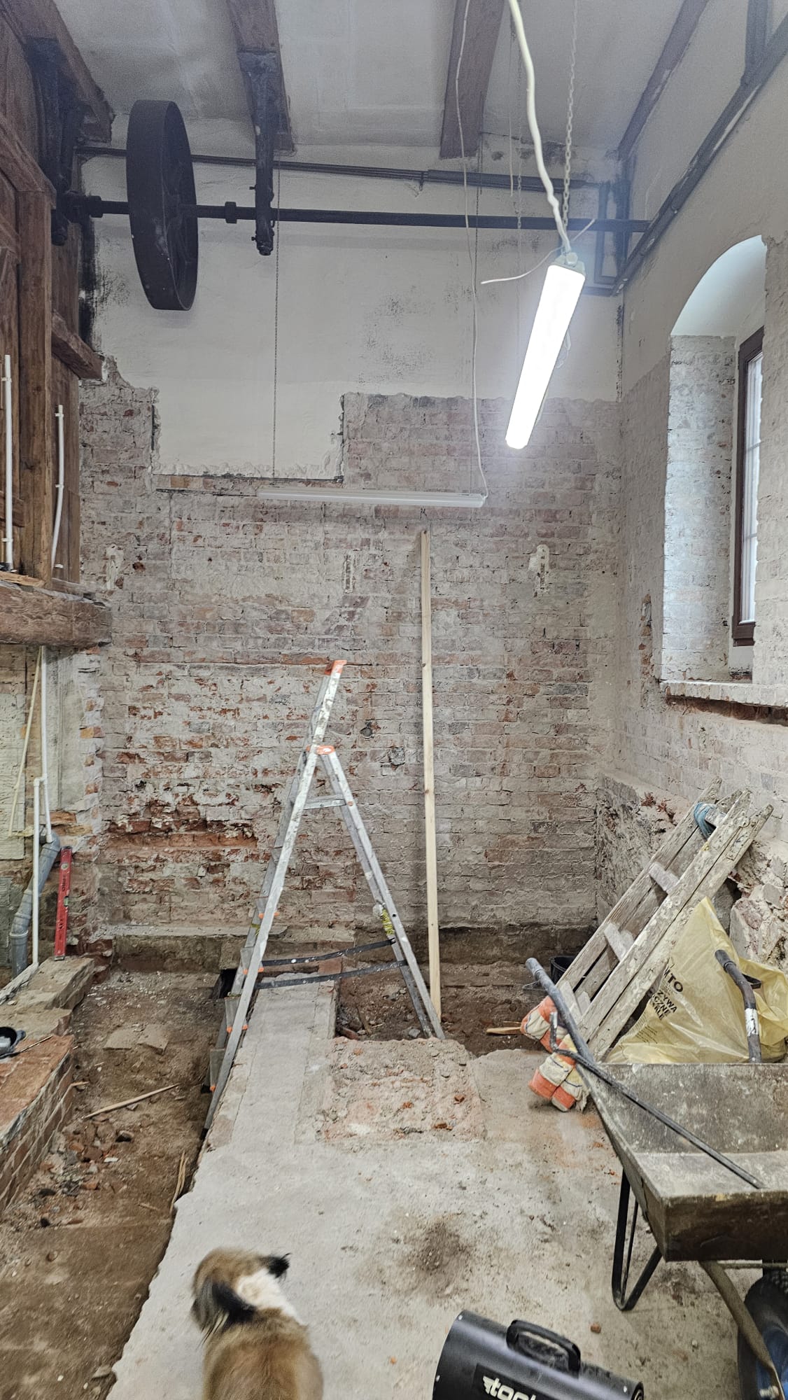 1266a2c6-9acb-4eb5-be90-24dbecebce99